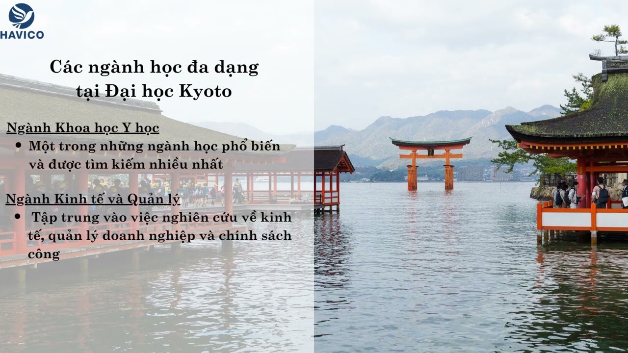 Bí quyết 4: Chinh phục kỳ thi đầu vào và vòng phỏng vấn quyết định