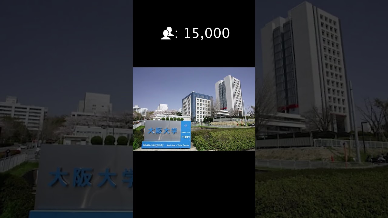 Bí quyết #1: “Giải mã” điều kiện đầu vào – Không khó như lời đồn!