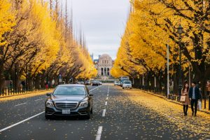 ngắm lá đỏ ở tokyo