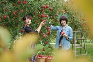 người nhật thích ăn trái cây gì